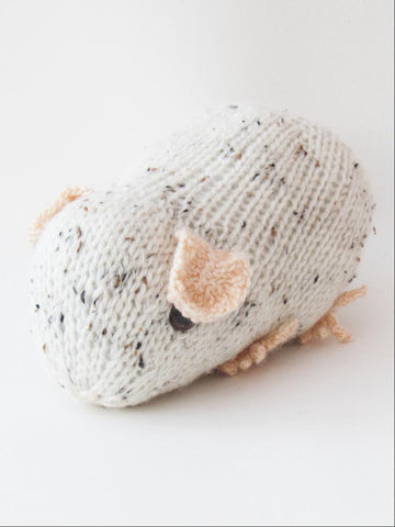 Guinea Pig Toy