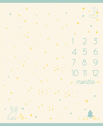 Ruby Star Society Birthday Panel - Cream - RS2043-11