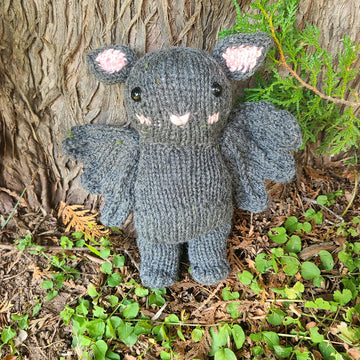 Echo the Baby Bat