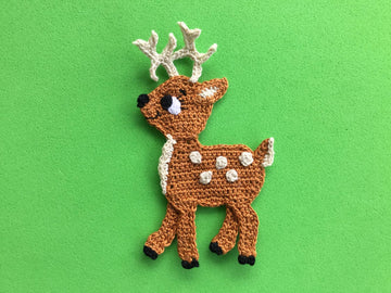Deer or Fawn