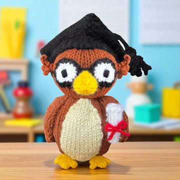 Teacher Owl chocolate orange cover / toy