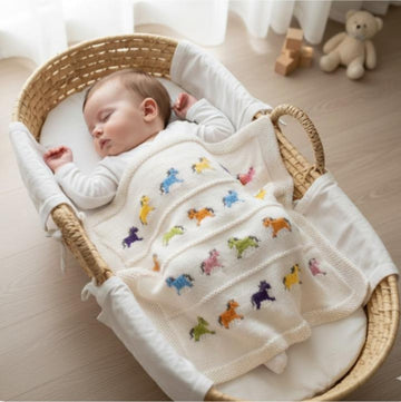 Little Pony Blanket