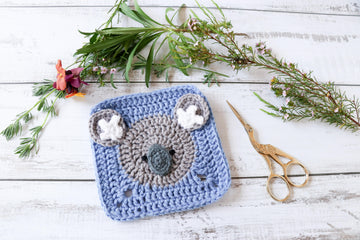 Koala animal square