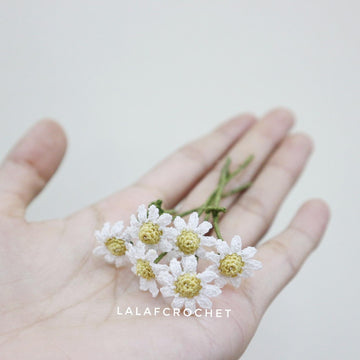 1:6th scale daisy