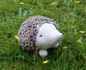 Prickles the Hedgehog