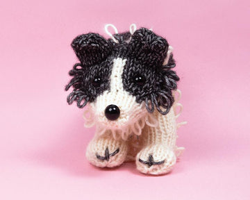 Jess the Border Collie