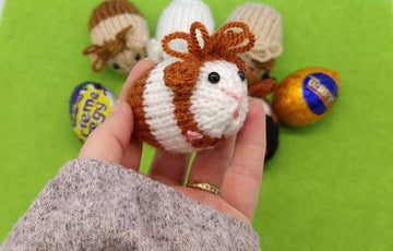 Guinea Pig Creme Egg Cosy