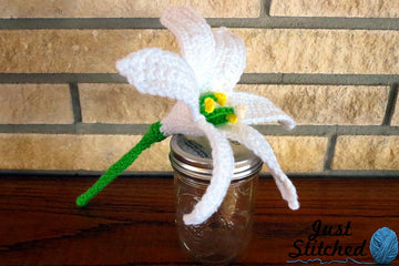 Easter Lily / November Lily
