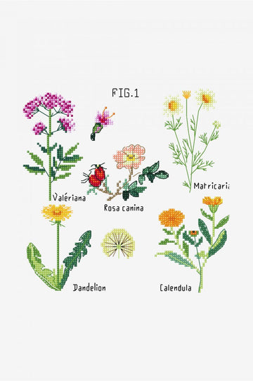 DMC Botanical Medicinal Plants - PAT1380S - Downloadable PDF