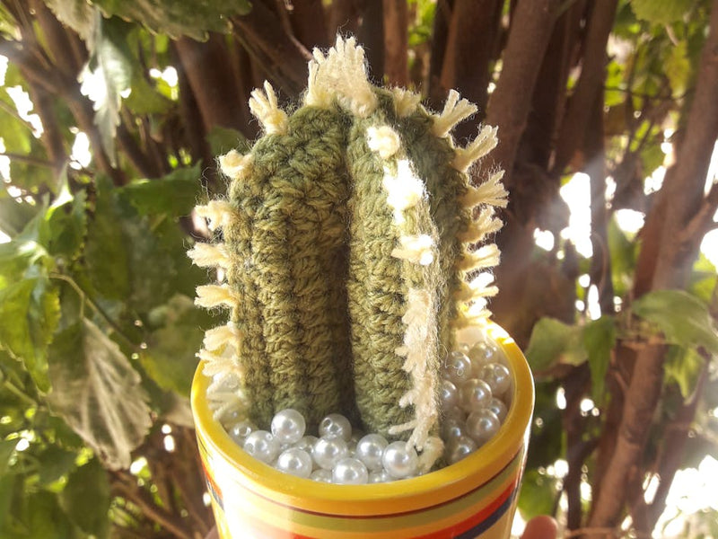 Got a not-so green thumb? Crochet a cute unkillable cactus instead!