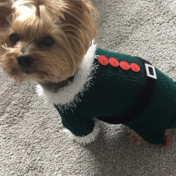 Christmas Elf Dog Costume