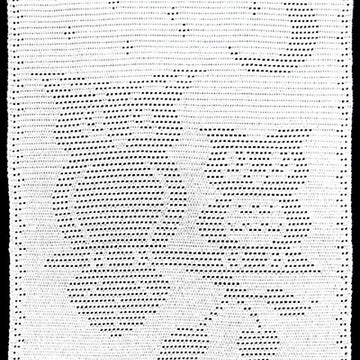 Moonlight Owls Filet Afghan