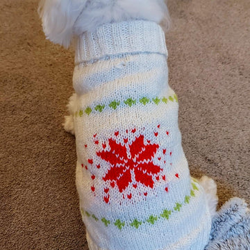 Red star dog jumper