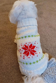 Red star dog jumper