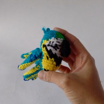 Birds Macaw