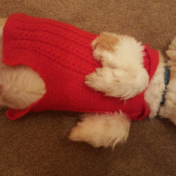 Sophie's Collared Mock Cable Jacket