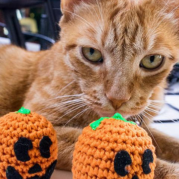 Pumpkin Stress Ball