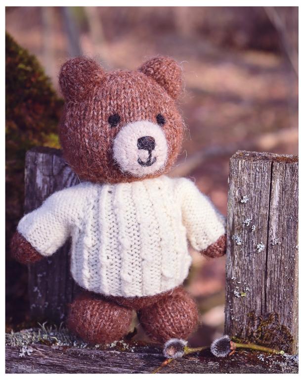 Bear Cub