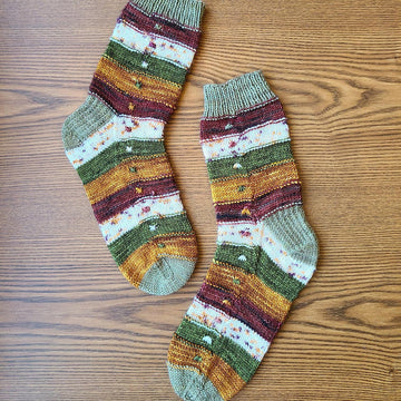 Little Shell Socks