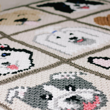 Best in Show Dog Blanket