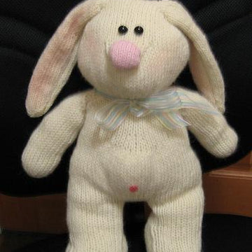Fun Funny Bunny