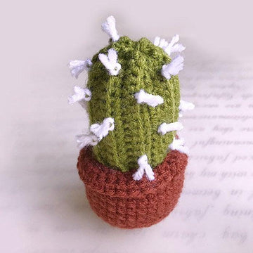 Cactus in a pot crochet , Cactus Amigurumi,