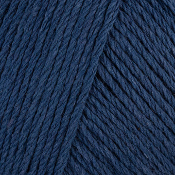 Indigo (231)