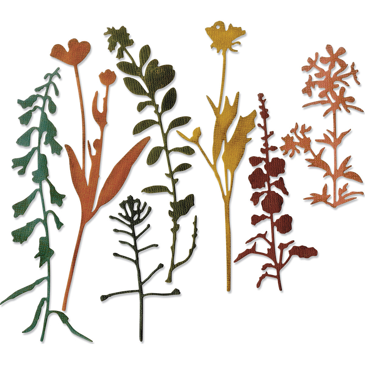 Sizzix Thinlits Dies By Tim Holtz 7/Pkg - Wildflowers #2