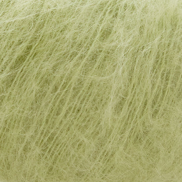 Fern (22)