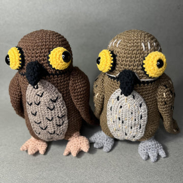 Potoo Bird