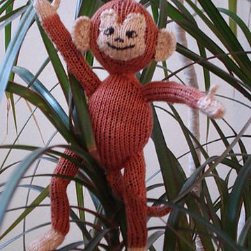 Sam the Cross-eyed Spider Monkey