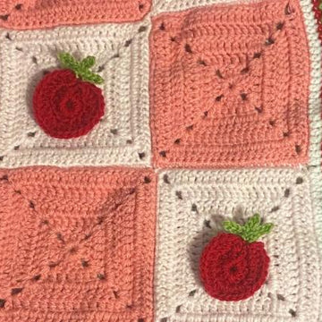 The strawberry shortcake blanket
