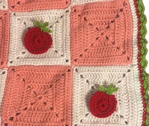 The strawberry shortcake blanket