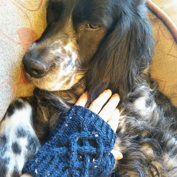 Crisscross Applesauce Fingerless Gloves