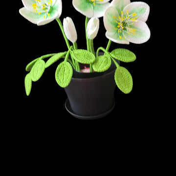 Crochet Hellebore flower