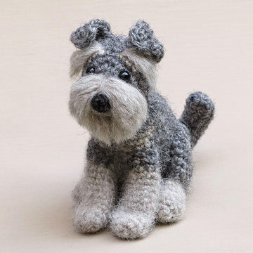 Schnoodge the Schnauzer dog