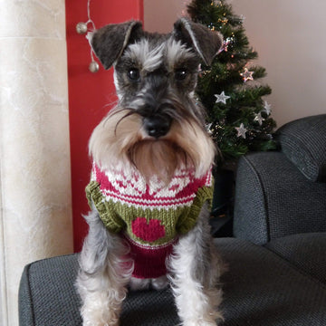 Mabel's Christmas Sweater