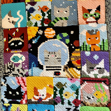 Catghan C2C Blanket