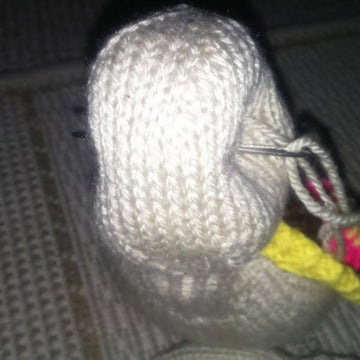 Squirt the Turtle
