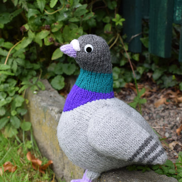 Paul the Pigeon