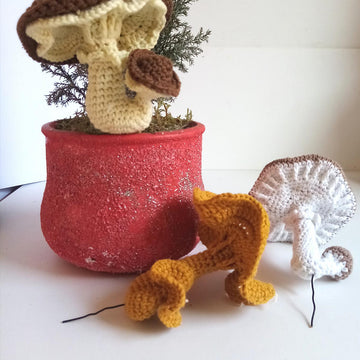 Mushrooms