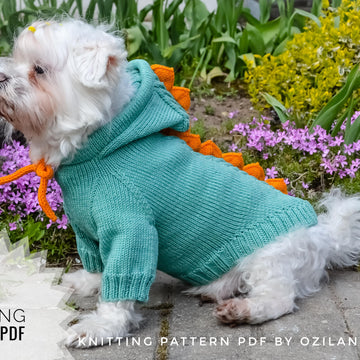 Dragon dog hoodie