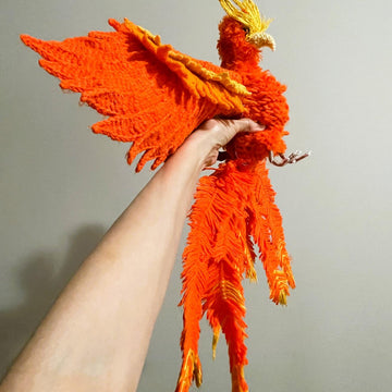 Adult phoenix