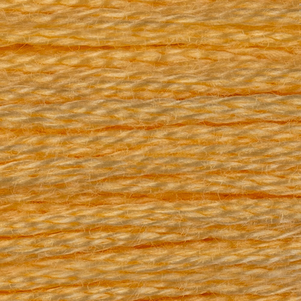 DMC Stranded Cotton - Warm Shades