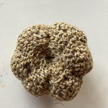 Small Autumnal Pumpkin