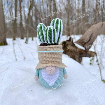 Gnome-cactus in a pot 3