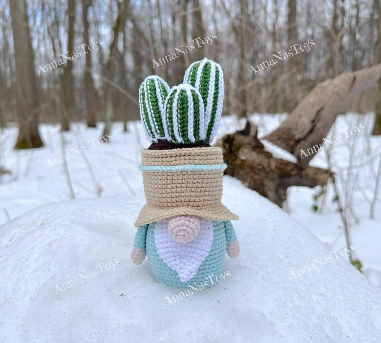 Gnome-cactus in a pot 3