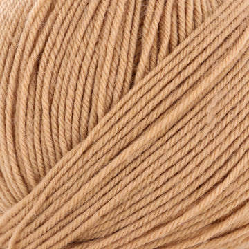 Camel (9)