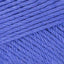 Periwinkle (146)