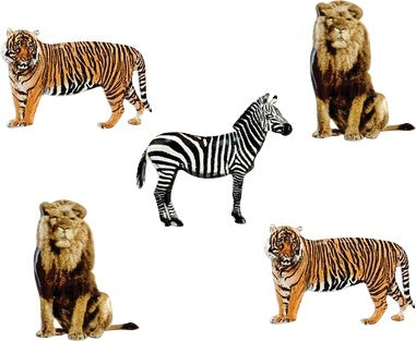 Eyelet Outlet Shape Brads 12/Pkg - Zebra, Lion & Tiger